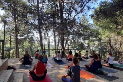 241a44c1-c666-4642-88b8-16d44bef4494