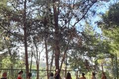 fcbf2927-c436-40a3-a4ba-8c498c028481