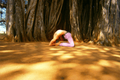 1907609_10152308833407978_6052392591956529308_n