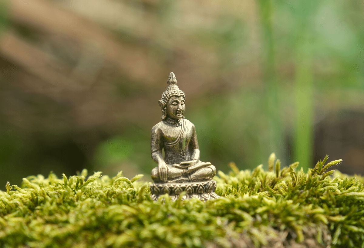 Bu da gelir bu da geçer